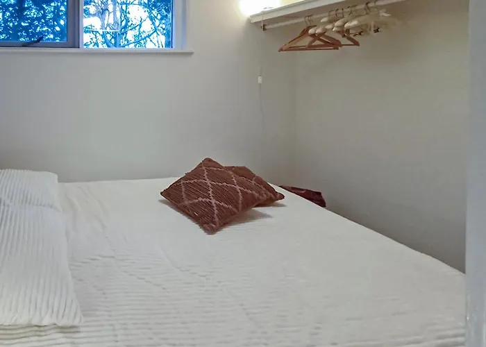 In With Wifi Tatil Evi